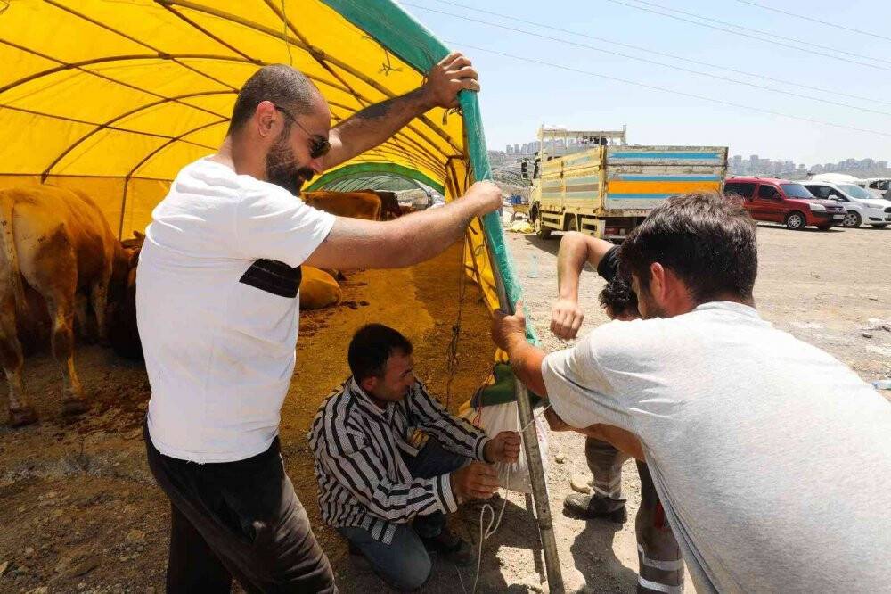 Kurban satış alanında çadırlar kurulmaya başlandı