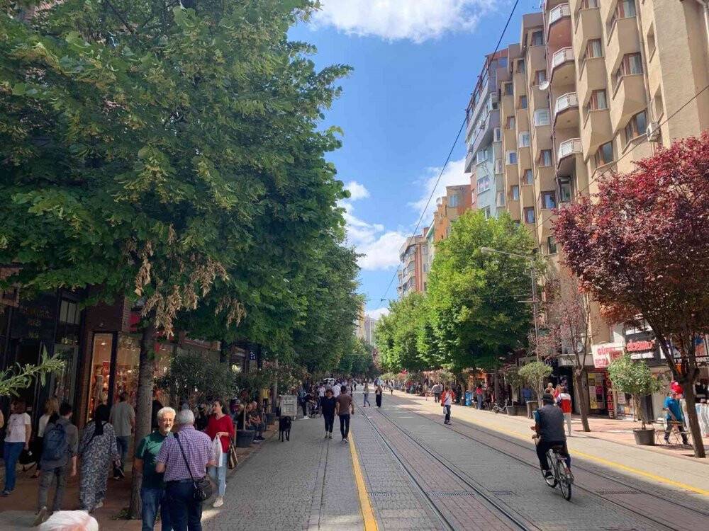 Eskişehir’i ıhlamur kokusu sardı