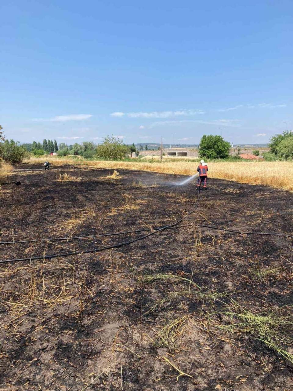 Manisa’da bir haftada 1912 dönüm buğday tarlası yandı