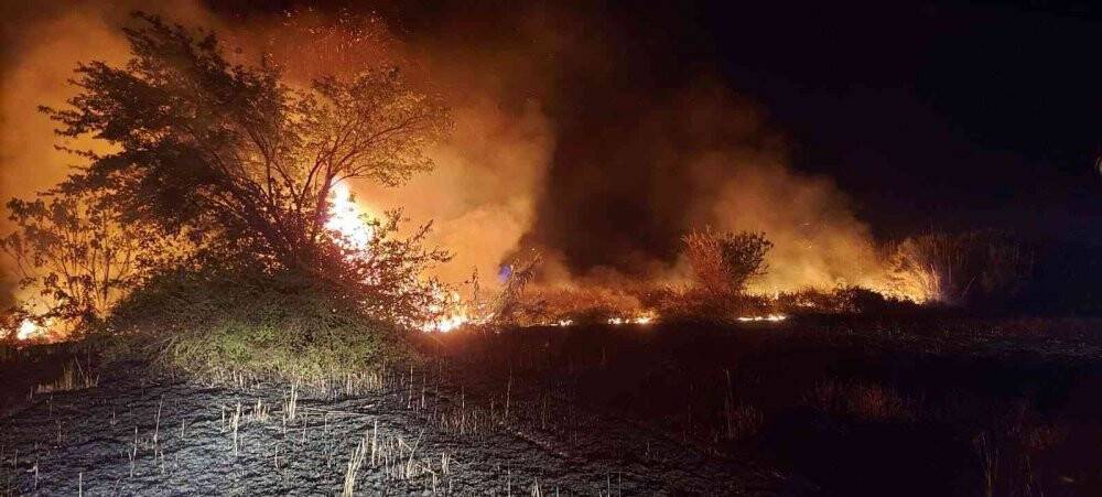 Manisa’da bir haftada 1912 dönüm buğday tarlası yandı