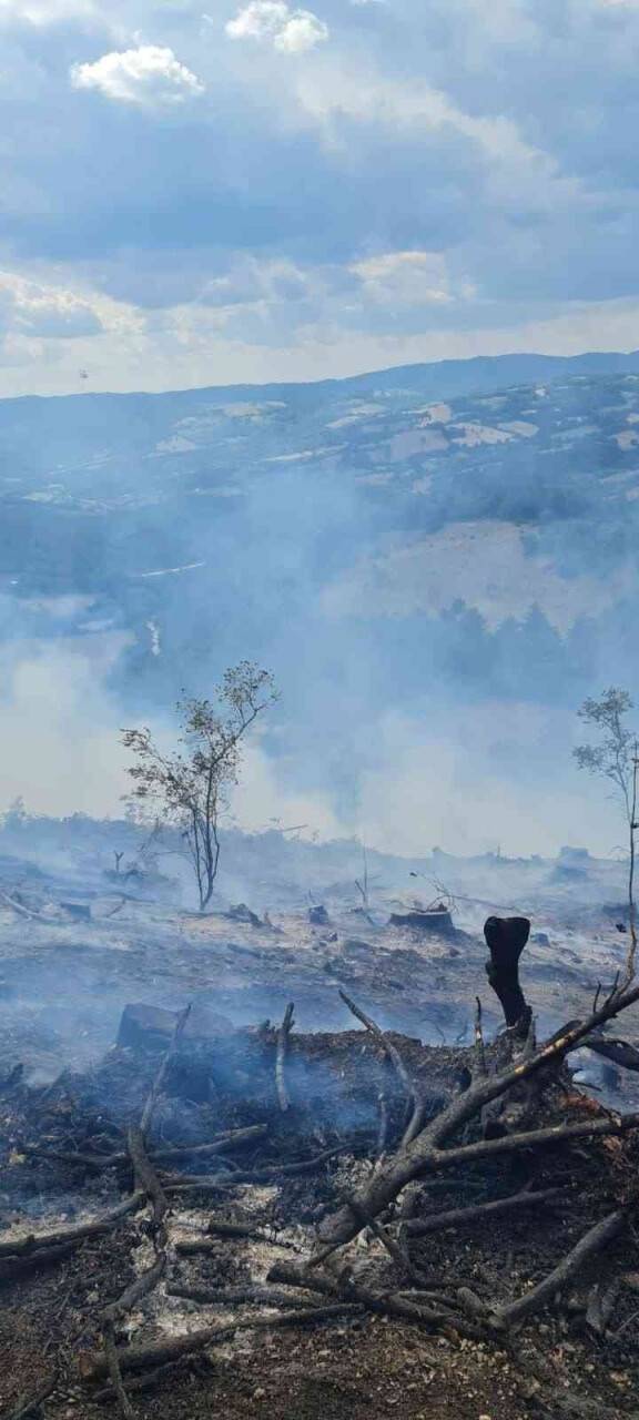 Çanakkale’de orman yangını