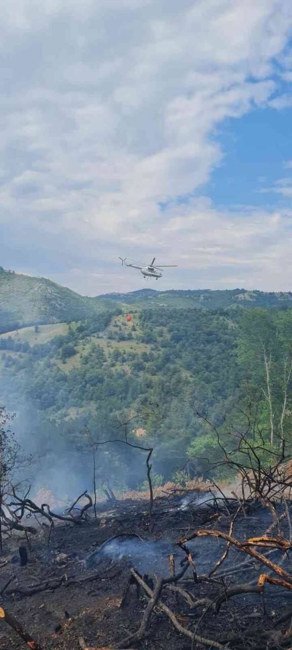 Çanakkale’de orman yangını