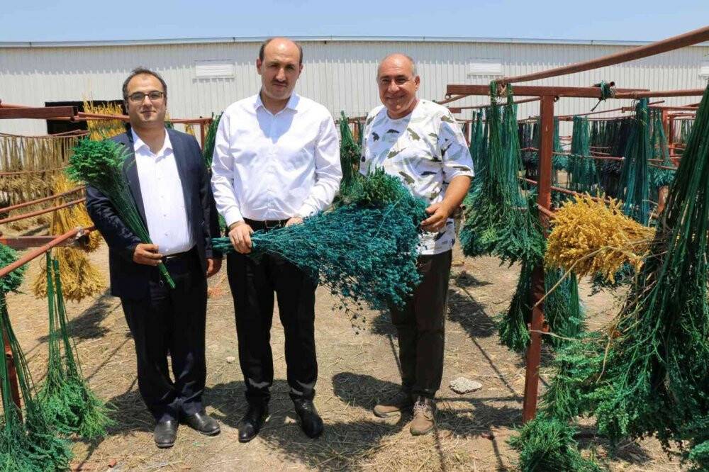 Kuru çiçekte ithalatı ihracata çevirdi