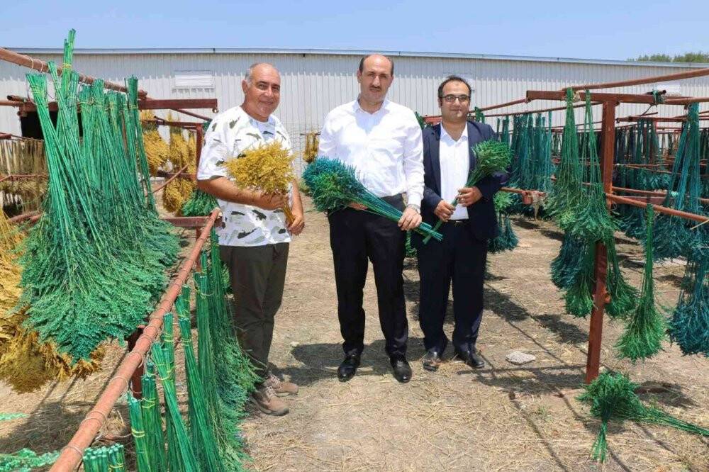 Kuru çiçekte ithalatı ihracata çevirdi