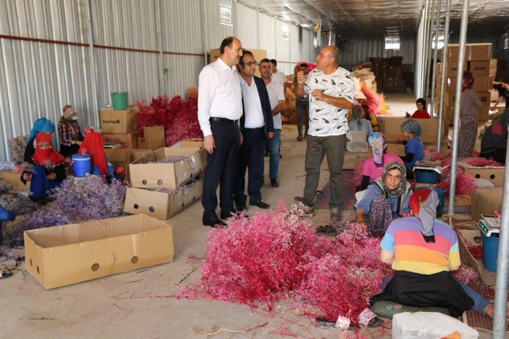 Kuru çiçekte ithalatı ihracata çevirdi