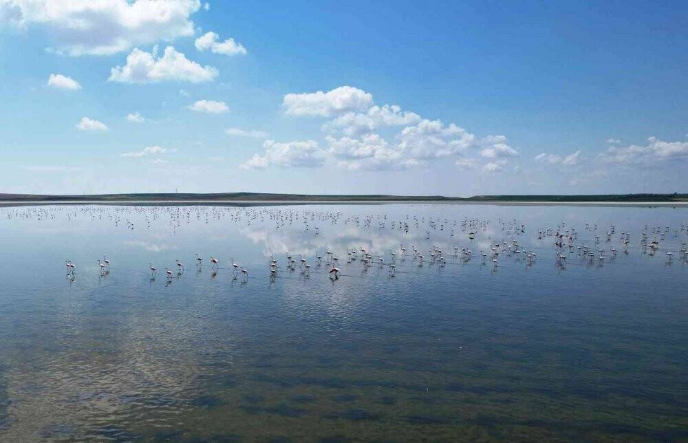 Düden Gölü’ndeki flamingolardan görsel şölen
