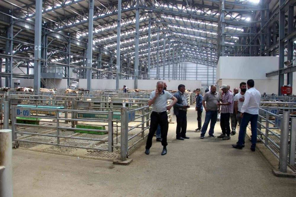 Kurbanlık satışlarında küçükbaş hayvanlar revaçta