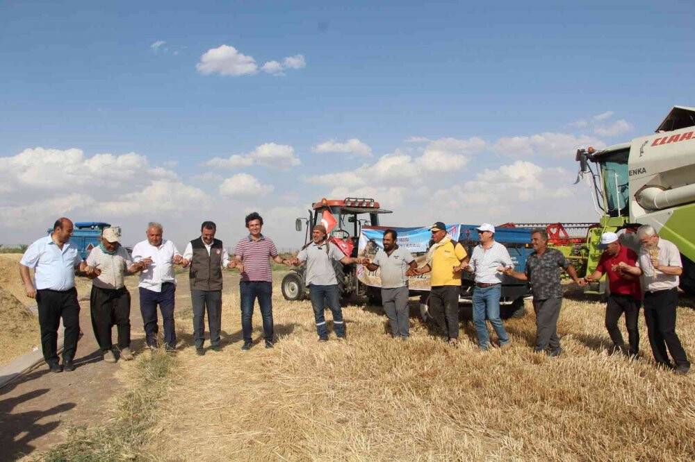Siirt’te hasattaki bereketi gören çiftçi, ‘buğday banyosu’ yaptı