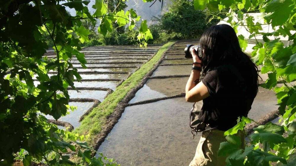 Çukurca’daki çeltik tarlalarına fotoğrafçılardan yoğun ilgi