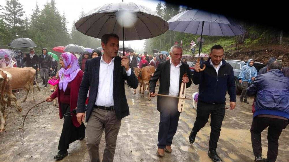 Gelin gibi süsledikleri inekleri ile yaylanın yolunu tuttular