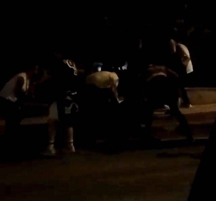 Dağ yolu muharebesi