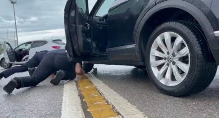 Küçük kediyi kurtarmak için büyük seferberlik