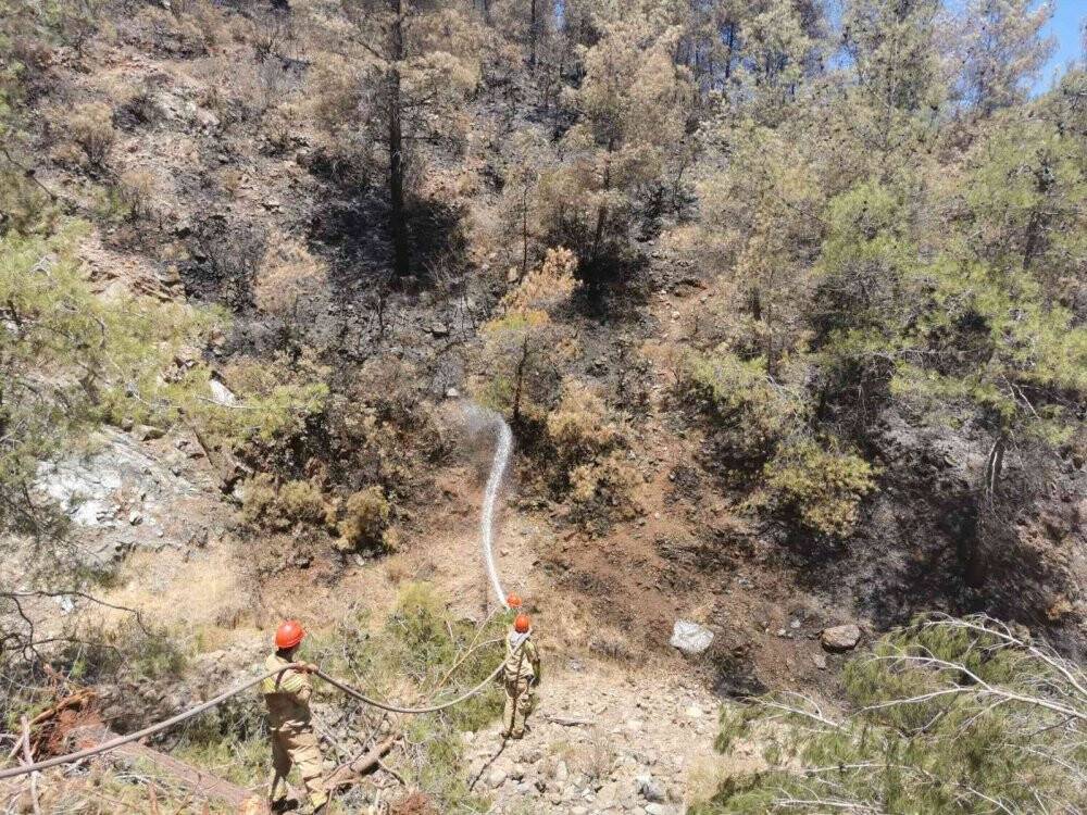 Marmaris’te yanan alanların soğutma çalışmaları devam ediyor