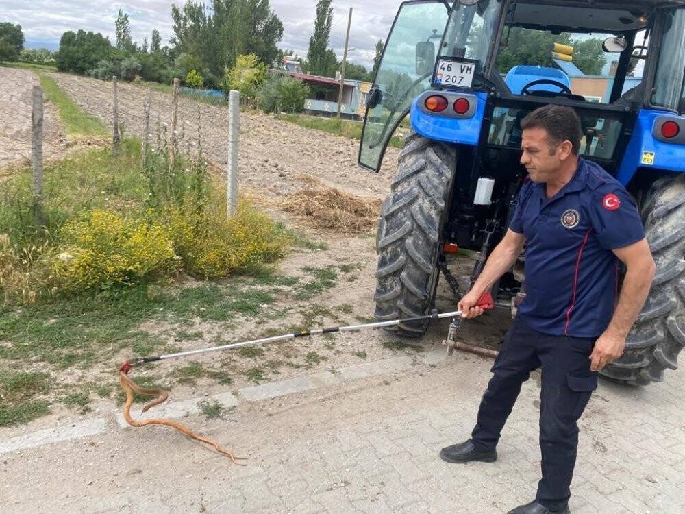Traktöre giren 1,5 metrelik yılan paniğe neden oldu
