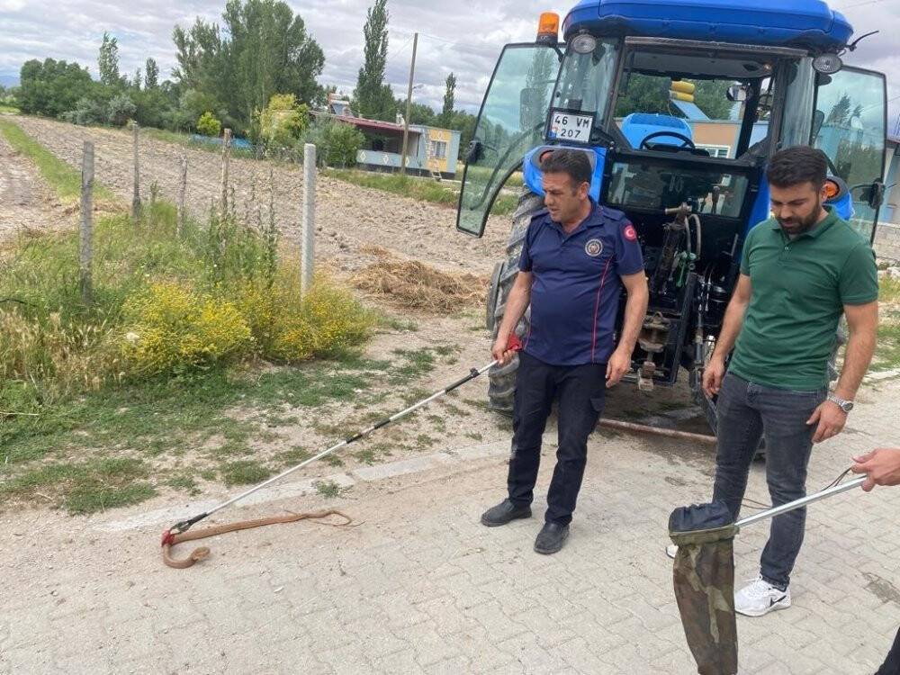 Traktöre giren 1,5 metrelik yılan paniğe neden oldu