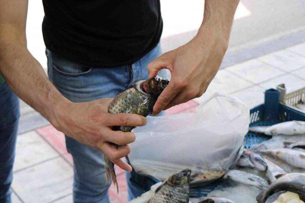 Balıkçılar yeni sezonu iple çekiyor