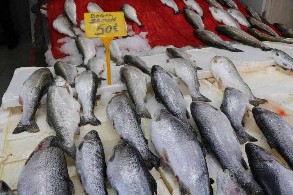 Balıkçılar yeni sezonu iple çekiyor