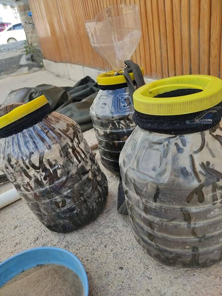 Beyşehir Gölü’nde yasa dışı sülük avına ceza