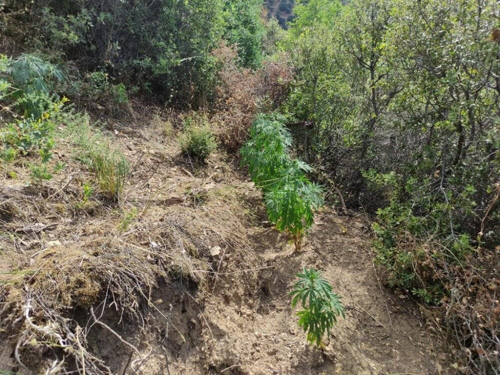 İzmir’de 11 ilçede uyuşturucu operasyonu: 25 şüpheliye işlem