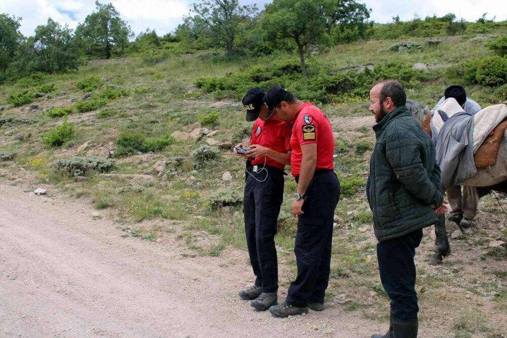 Kayıp kurbanlık koyunlar dron ile bulundu