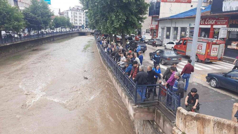 Kedi kurtarma operasyonunu yüzlerce kişi film izler gibi izledi