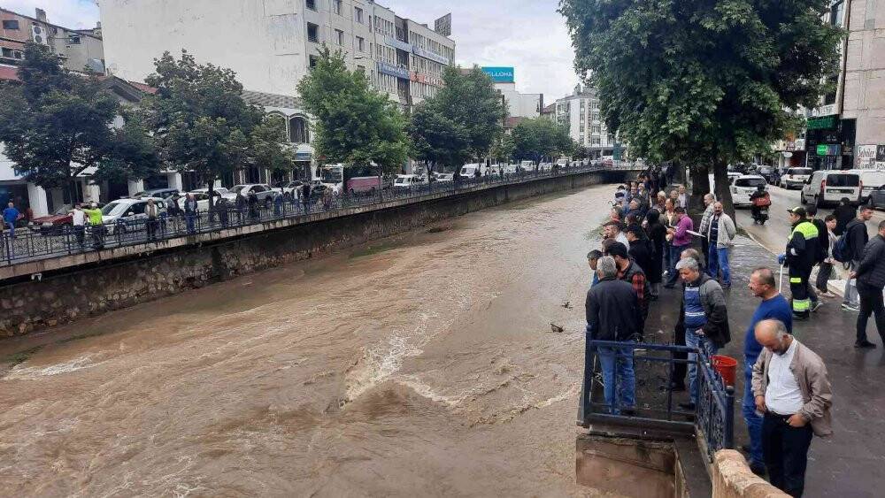 Kedi kurtarma operasyonunu yüzlerce kişi film izler gibi izledi