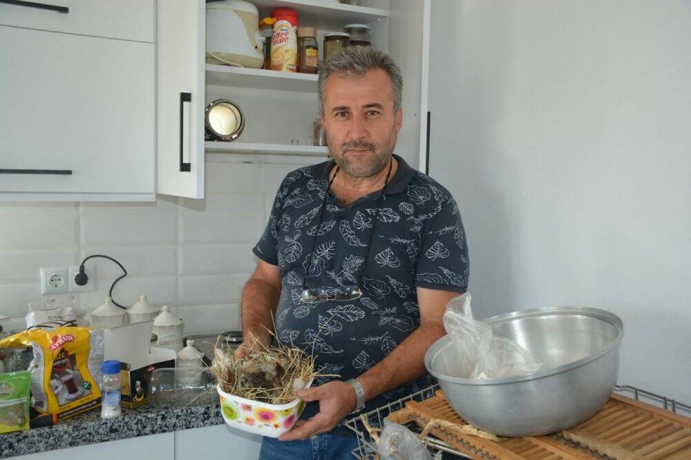 Sinop’ta kuşlar aspiratör bacasına yuva yaptı