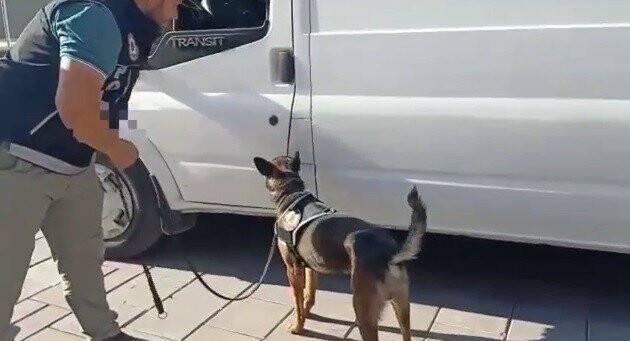 ’Uyuşturucu ile Mücadele Günü’nde gözaltına alınan zanlılar tutuklandı