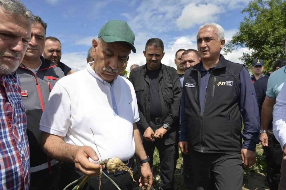 Bakan Kirişci selde zarar gören tarım arazilerini inceledi