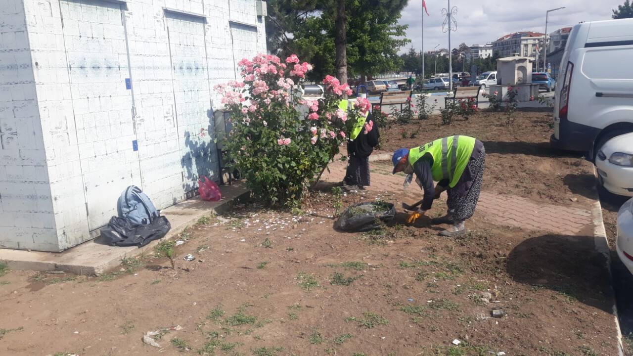 belediyenin-kadin-calisanlari-cevreyi-guzellestiriyor-6.jpeg