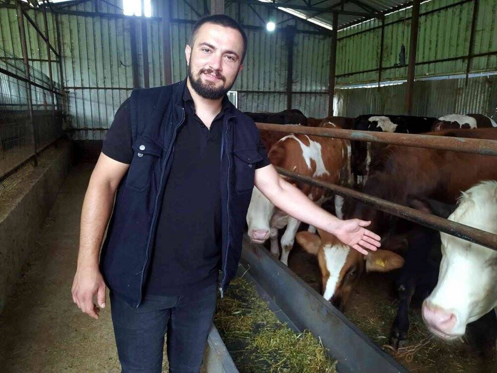Hayvan dolandırıcılığına dikkat