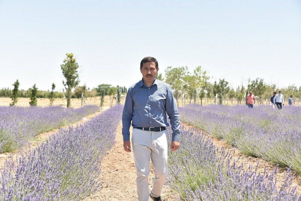 Karatay Lavanta Bahçesi 2 Temmuz’da kapılarını açıyor