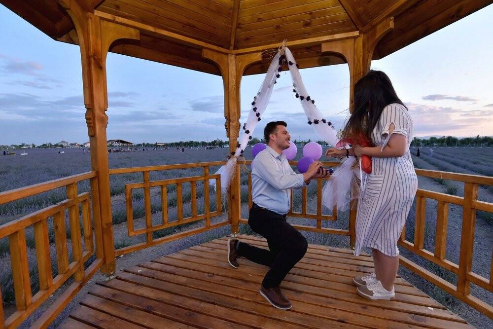 Karatay Lavanta Bahçesi 2 Temmuz’da kapılarını açıyor