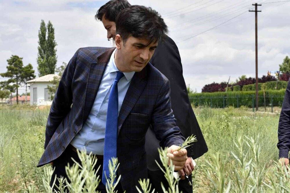 KOP desteklerine yerinde inceleme