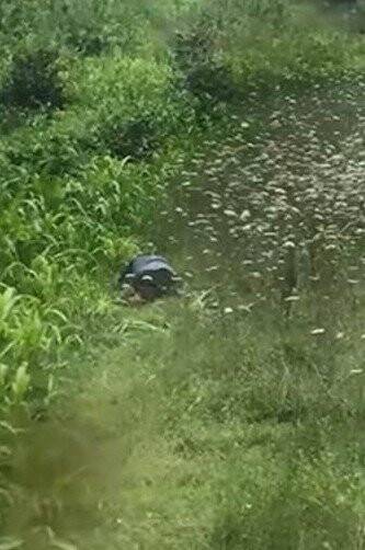 Köpeğe nitelikli cinsel saldırı iddiasıyla yargılanan sanığa 1 yıl 9 ay hapis cezası