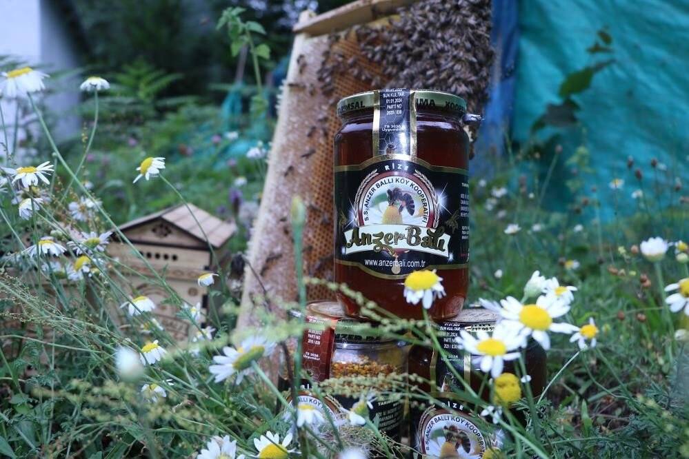 Anzer balının fiyatı belli oldu