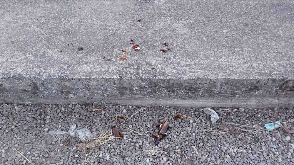 Avukatlara saldırı şüphelileri serbest bırakıldı