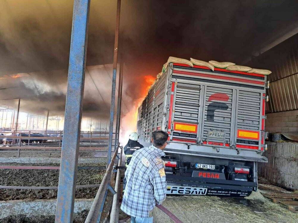 Besihaneye yem getiren tır yanarak kullanılamaz hale geldi