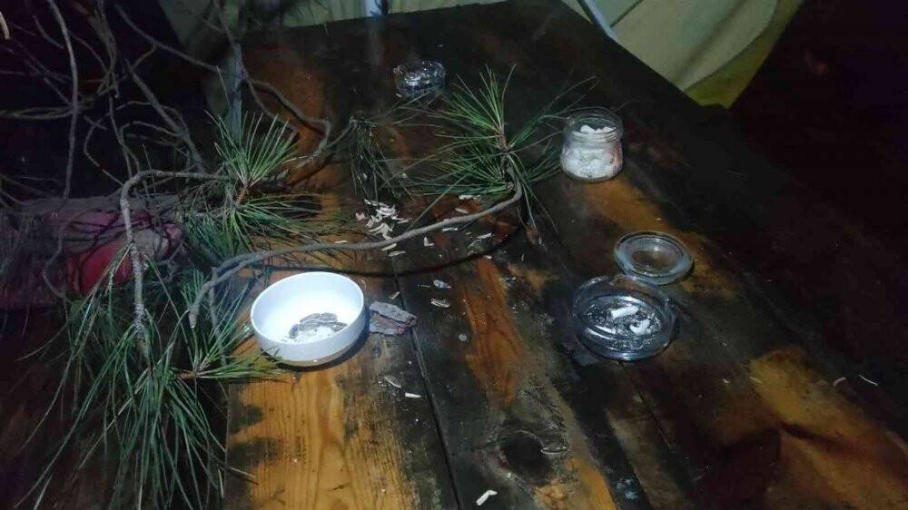 Tonlarca ağırlığındaki çam ağacı ailenin üzerine devrildi