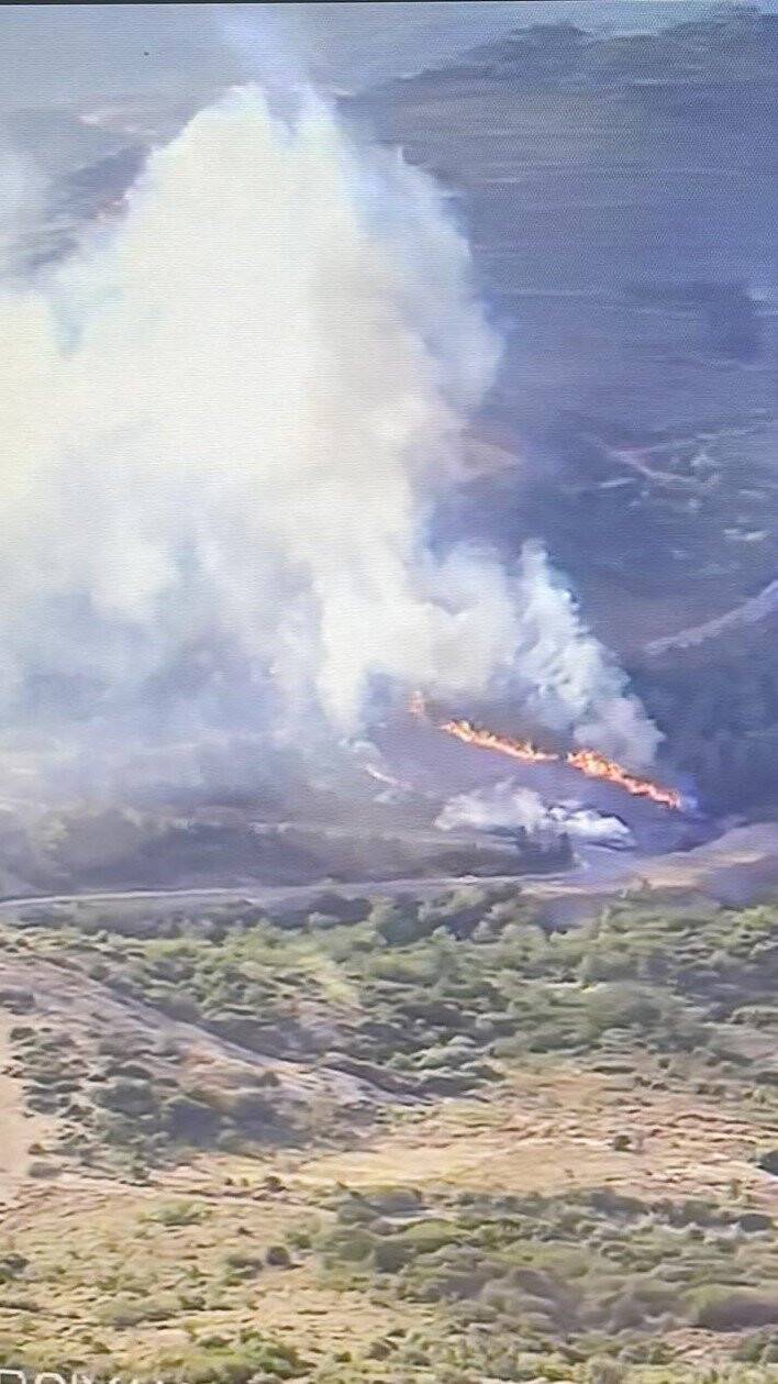 İzmir’de ormanlık alanda yangın çıktı