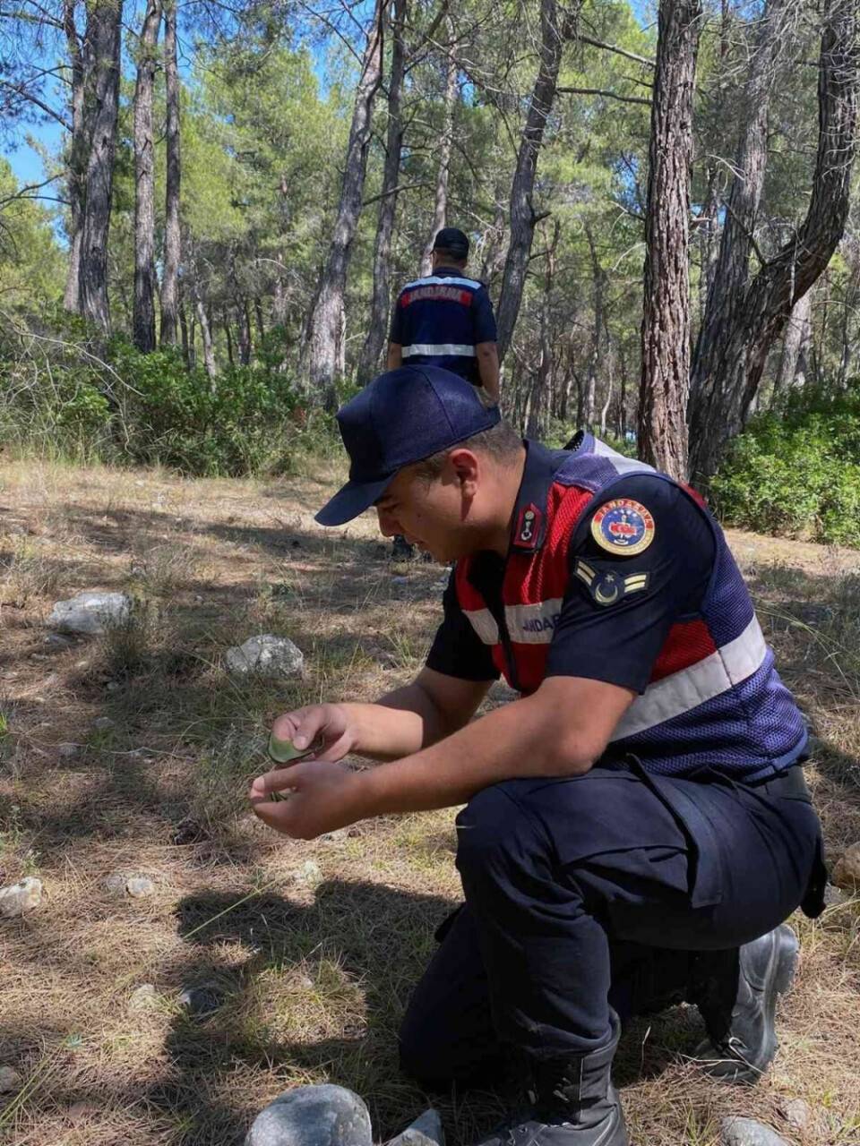Jandarma orman nöbetinde