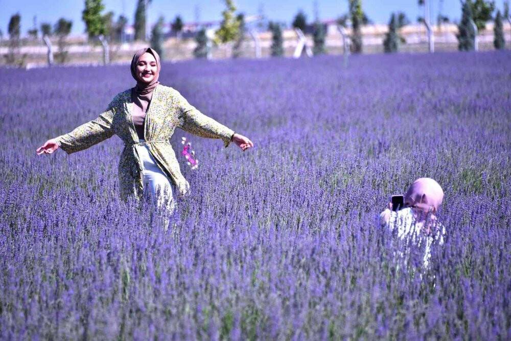 Karatay Lavanta Bahçesi kapılarını vatandaşlara açtı