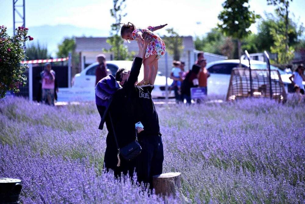 Karatay Lavanta Bahçesi kapılarını vatandaşlara açtı