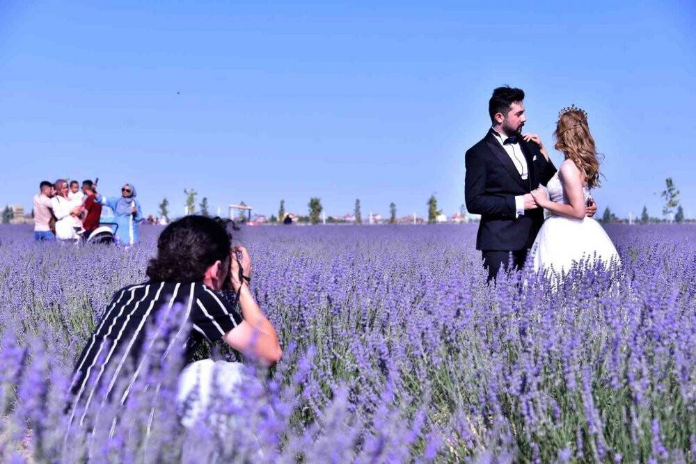 Karatay Lavanta Bahçesi kapılarını vatandaşlara açtı