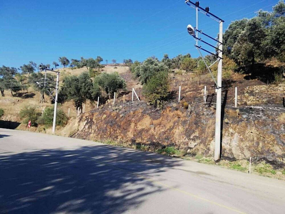 Yangında 100 dönüm arazi zarar gördü