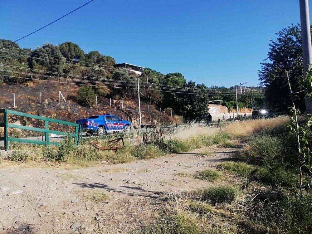 Yangında 100 dönüm arazi zarar gördü