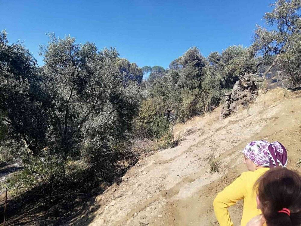 Yangında 100 dönüm arazi zarar gördü