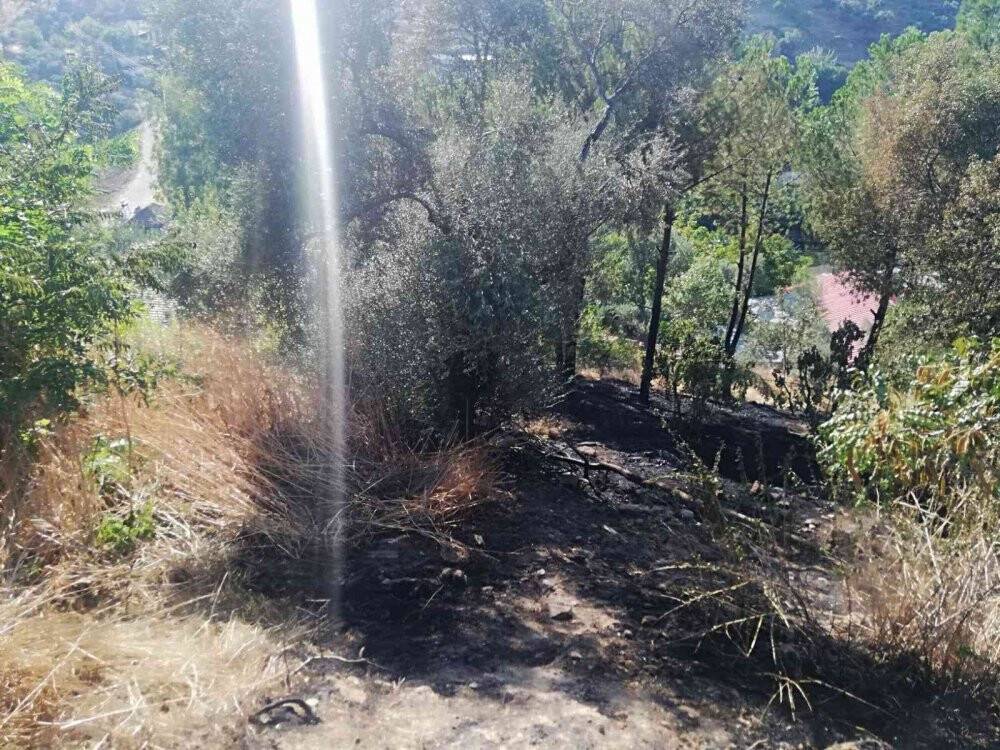 Yangında 100 dönüm arazi zarar gördü