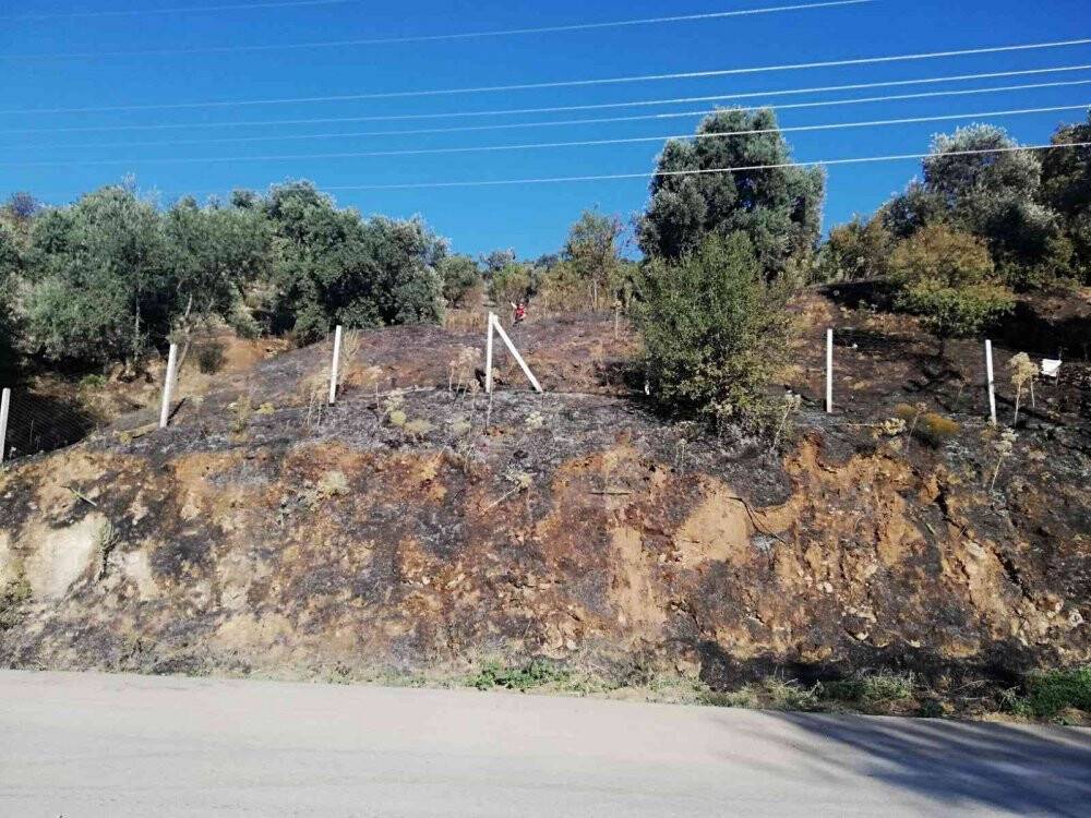 Yangında 100 dönüm arazi zarar gördü