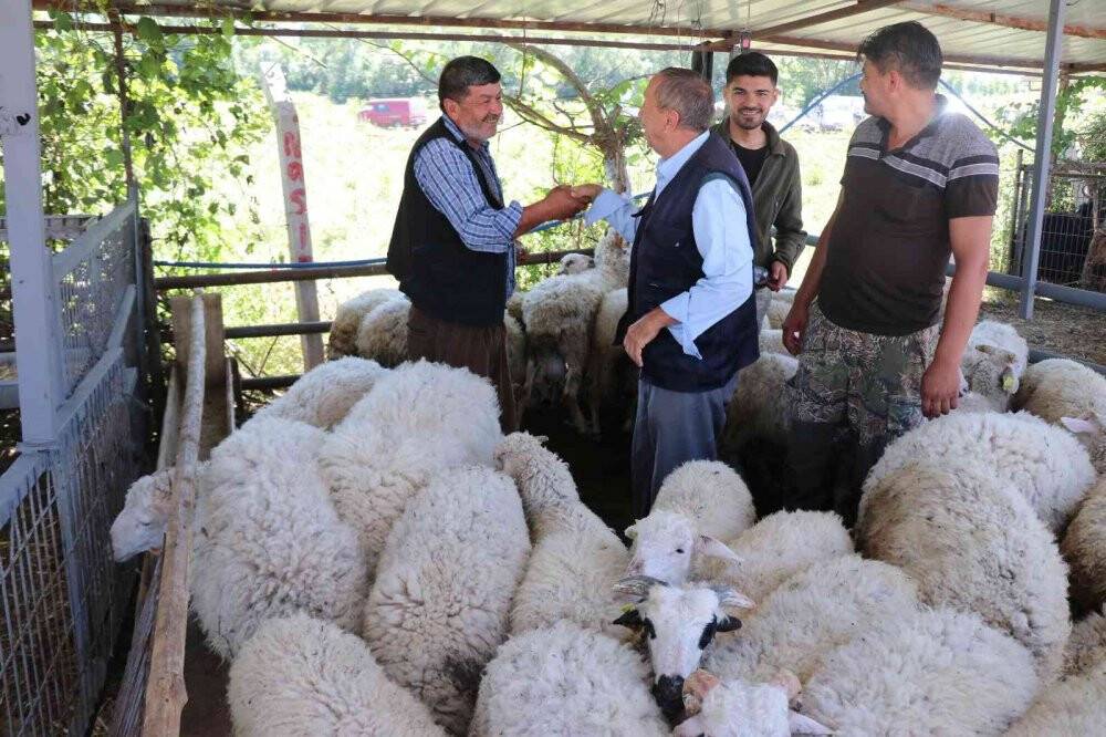 Eller, kurban pazarlığı için bir araya geldi
